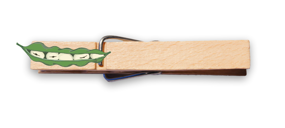 Glubbal Bohne