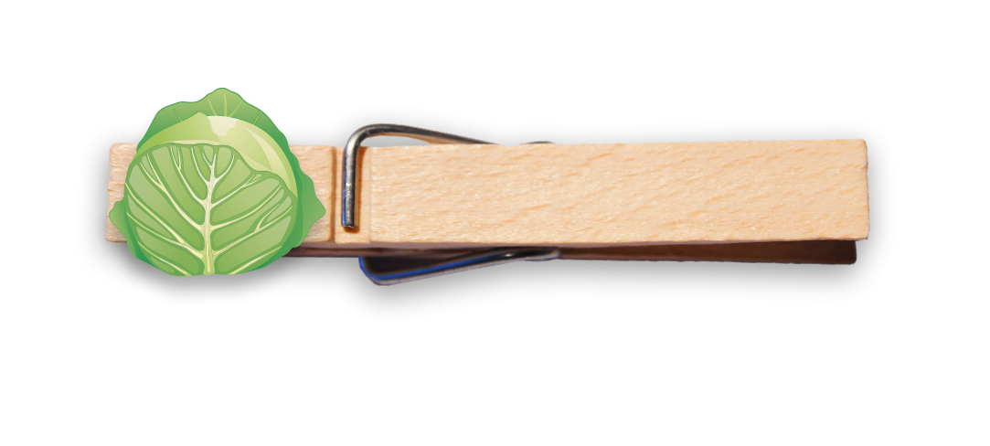 Glubbal Weißkraut