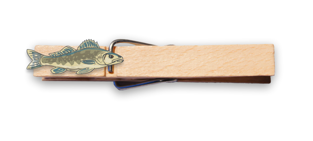 Glubbal Zander